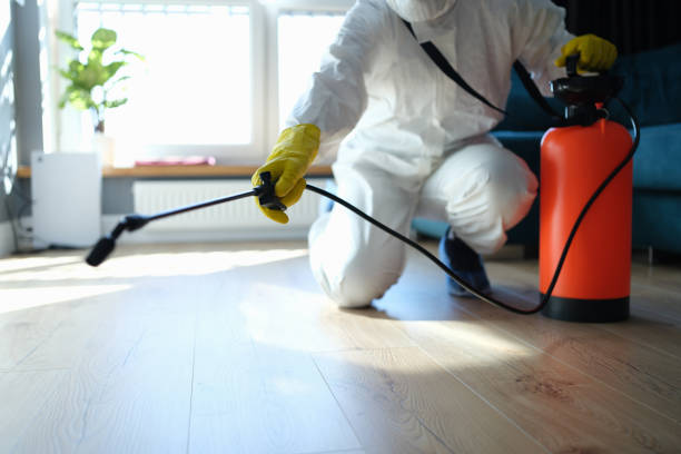 Reliable Odor Removal contractor in Portsmouth, NH by Trauma Clean Pros